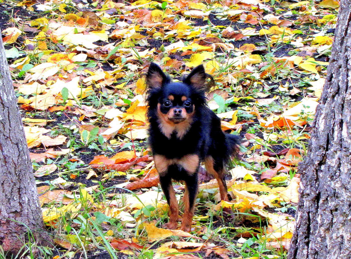 Встреча в парке!