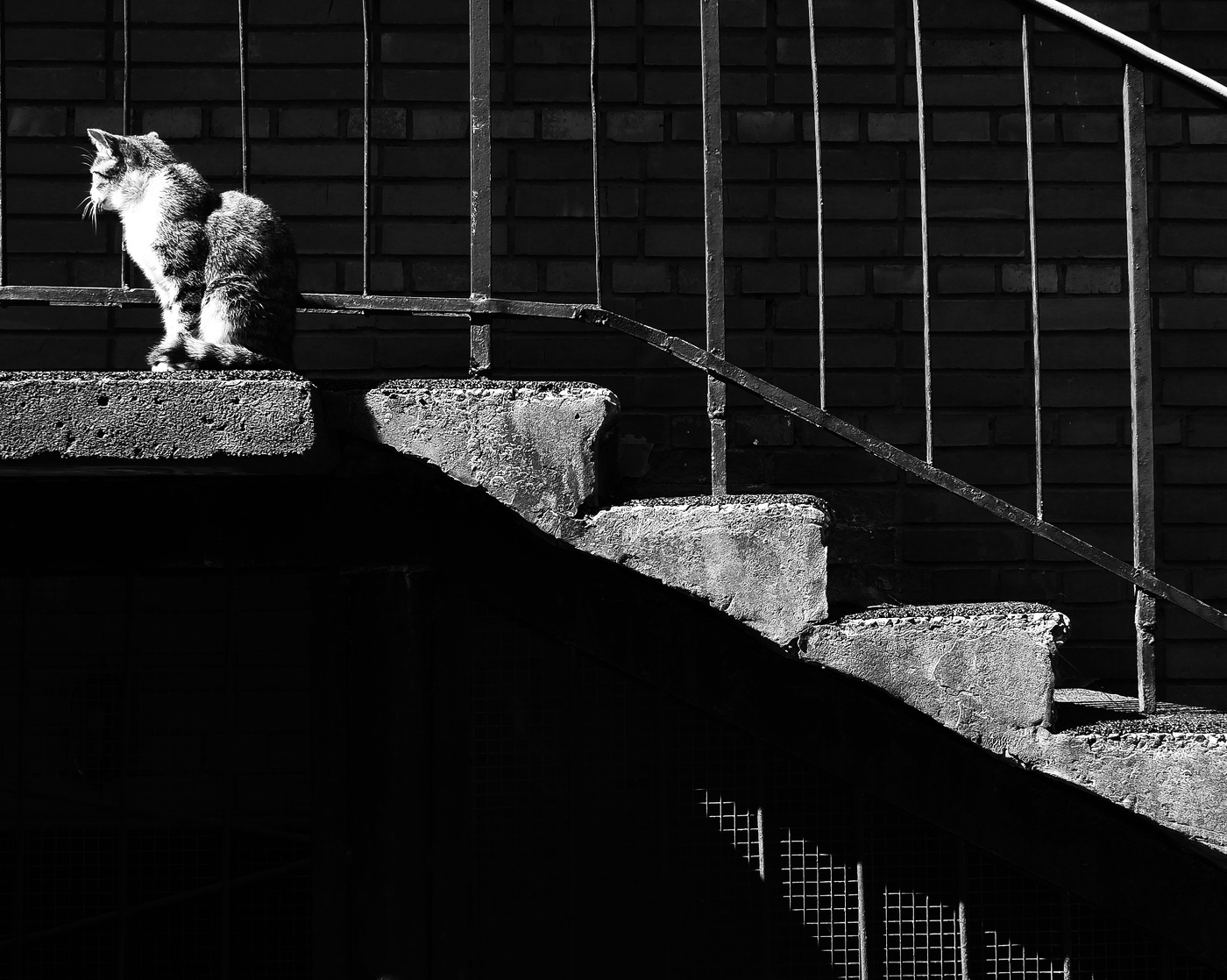 Верх высокомерия