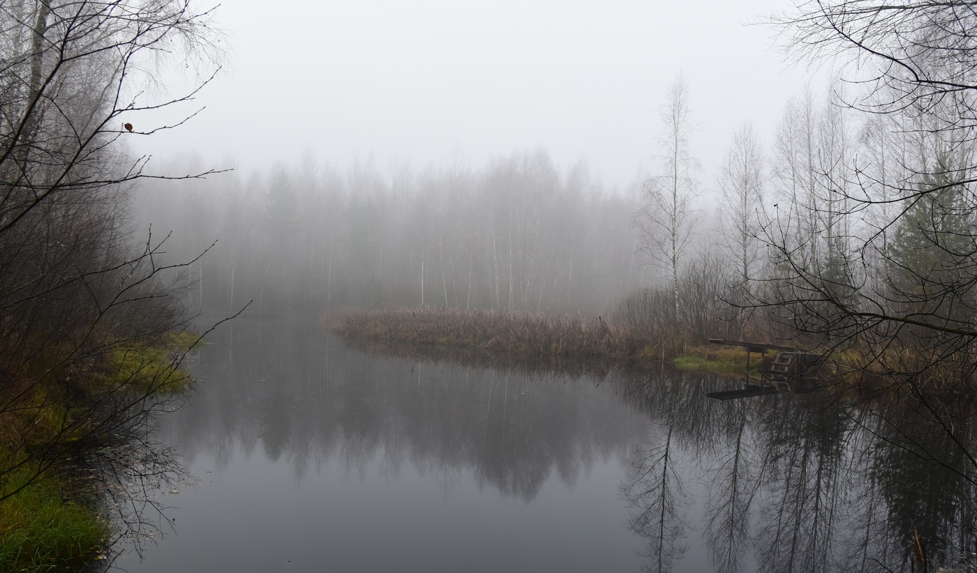 "В туманной дымке осень потерялась ..."