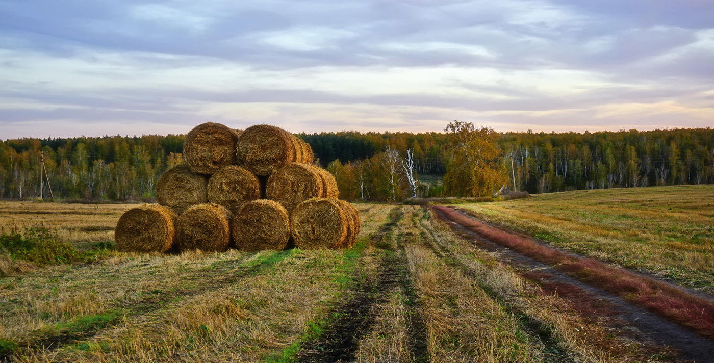 На исходе лета