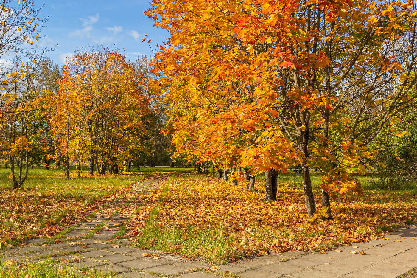 Солнечный день