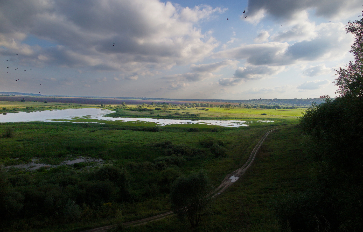 На просторе