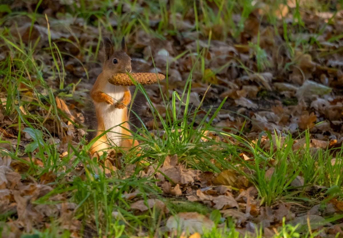 Угощайтесь )