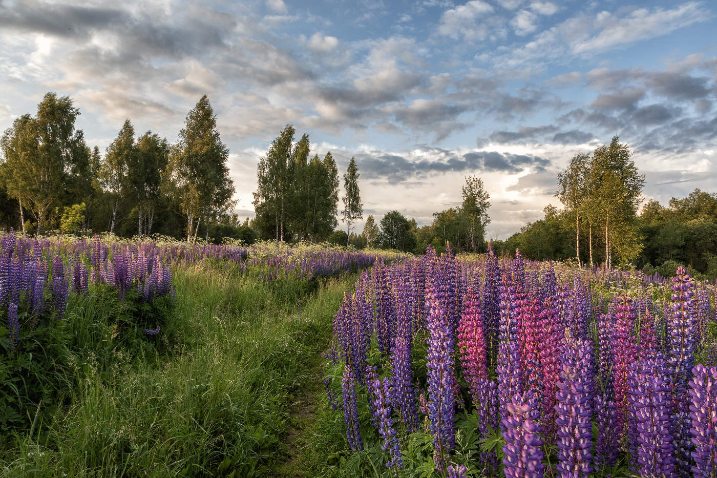 Совсем недавно было лето...