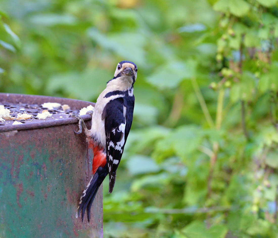 Съёмки, съёмки, пообедать не дадут.....