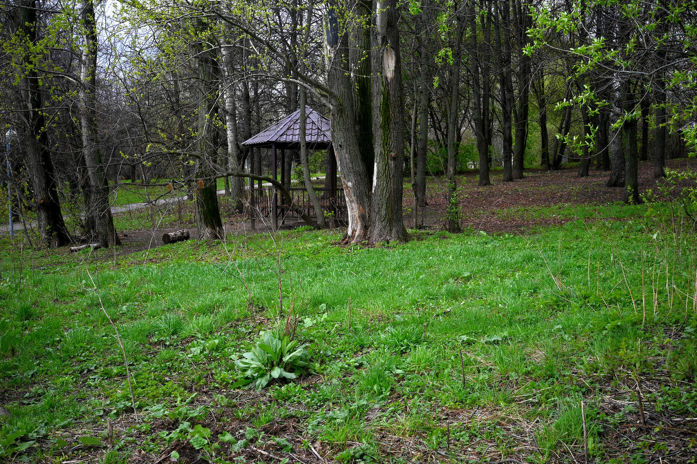 Парк имени Шкулёва