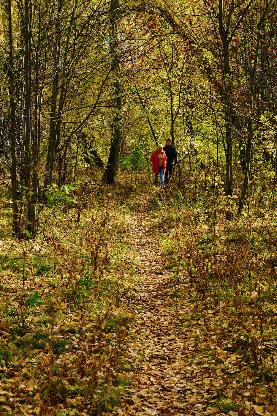 Осеннелиственное
