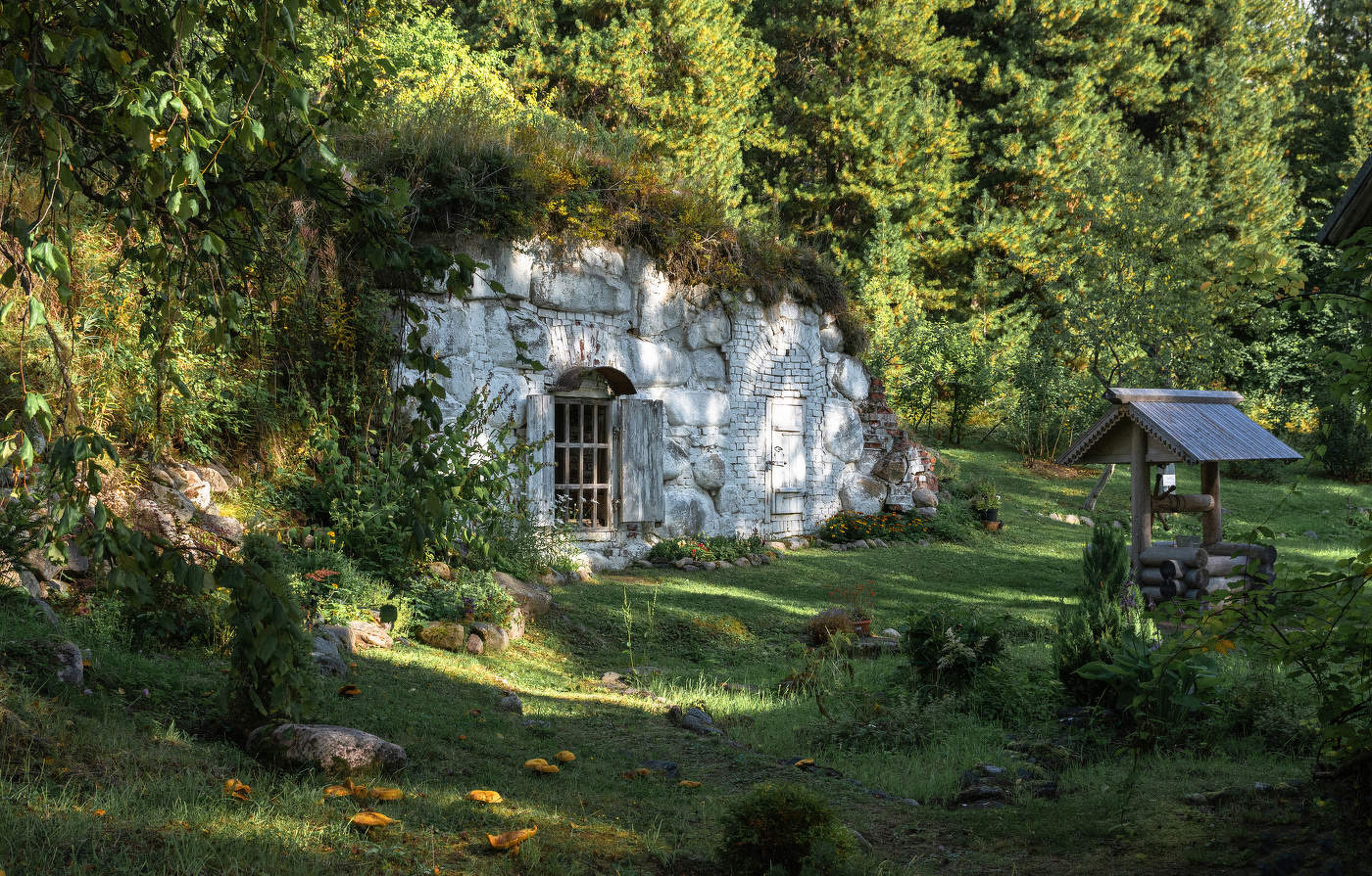 в ботаническом саду