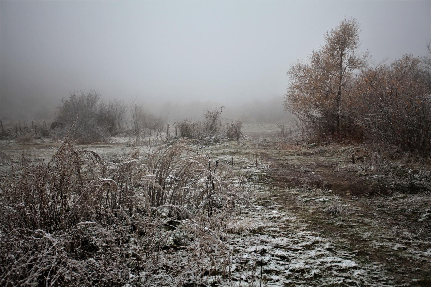 Унылая тишина