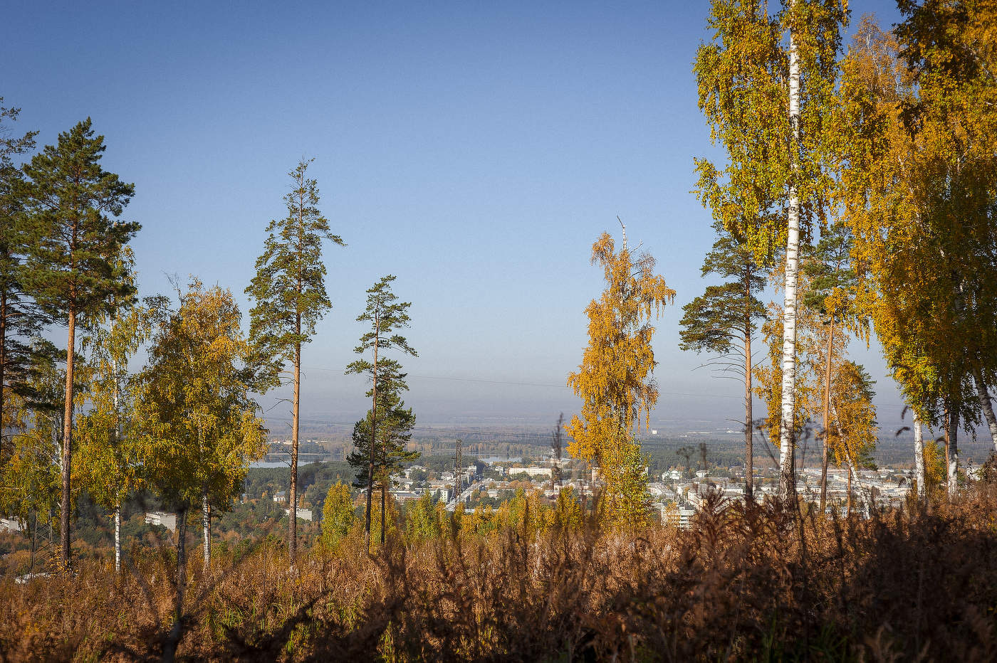 Осень носит больше золота в своих карманах, чем все другие времена года.