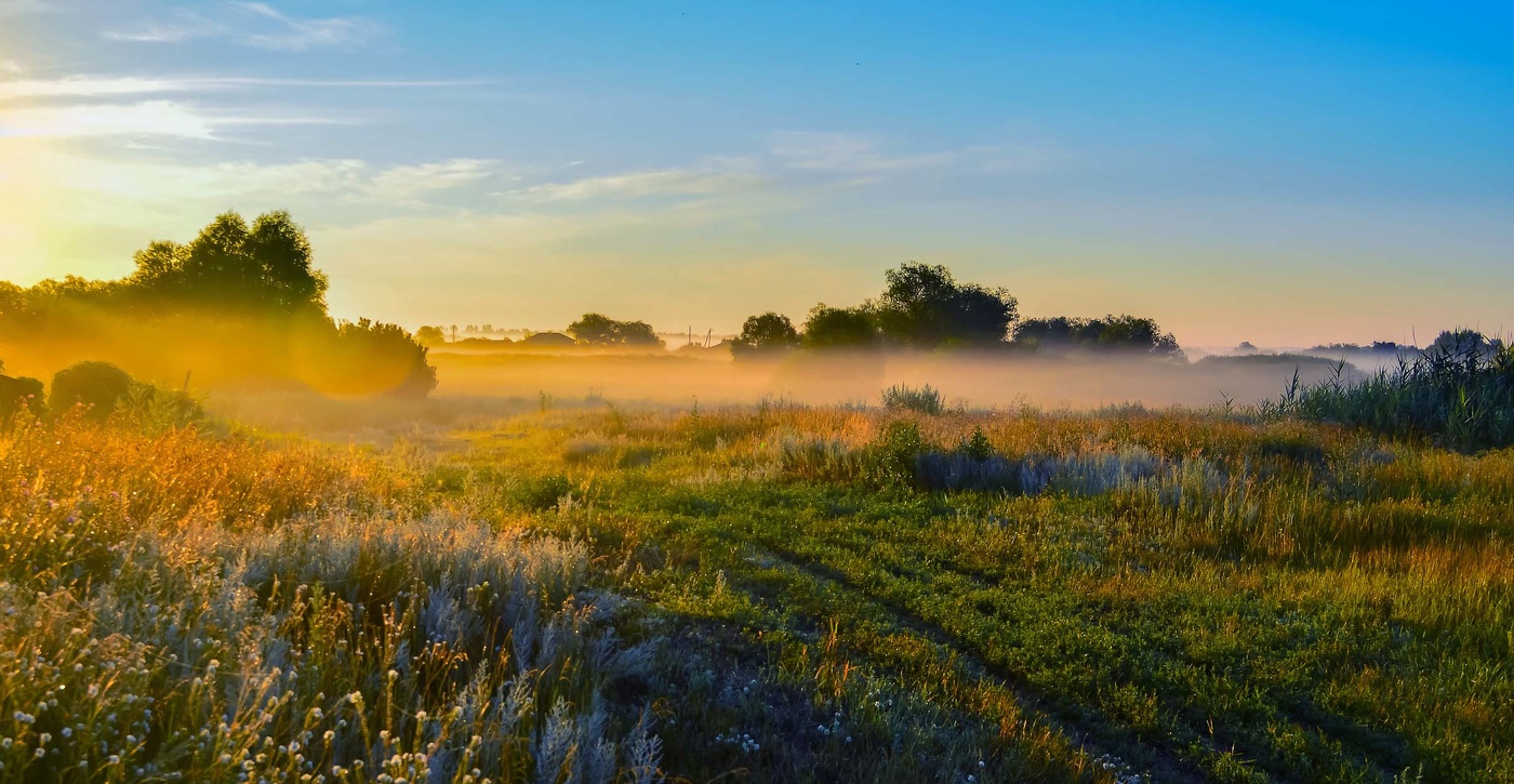 Туманное утро.