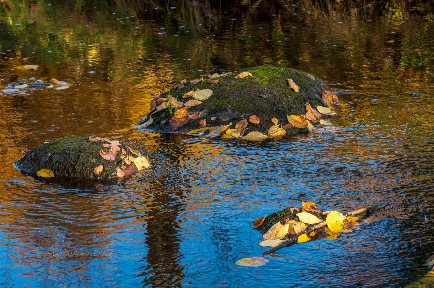 Ораниенбаум.
