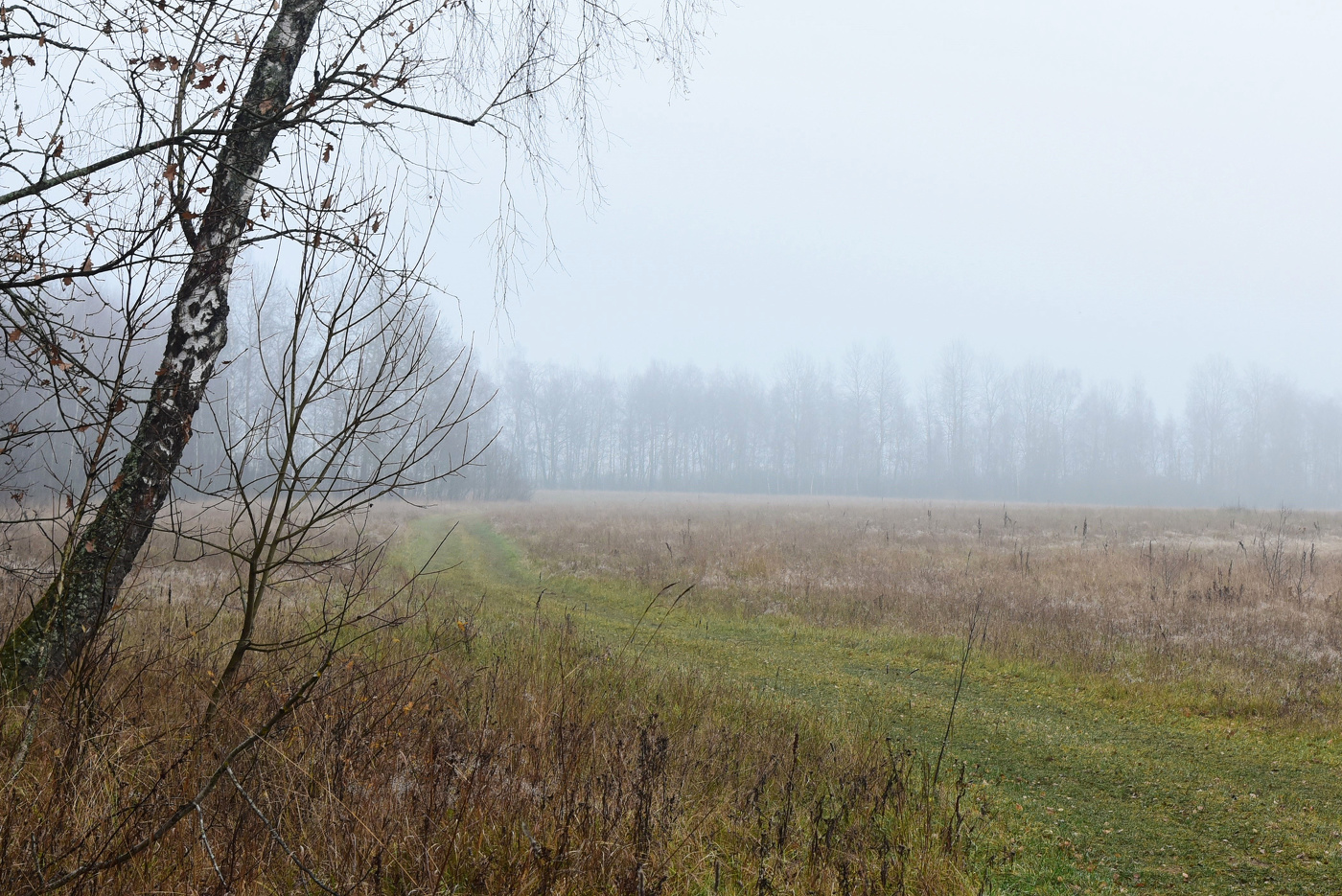 "Серый день, когда вовсе не поздно ..."
