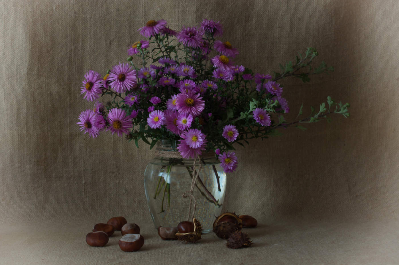 Осенние встречи.