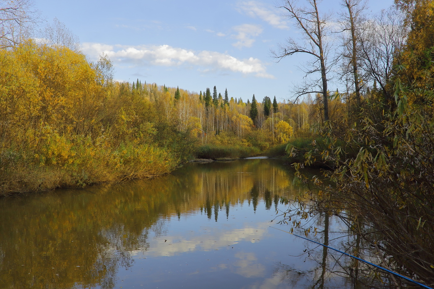 Золото осени