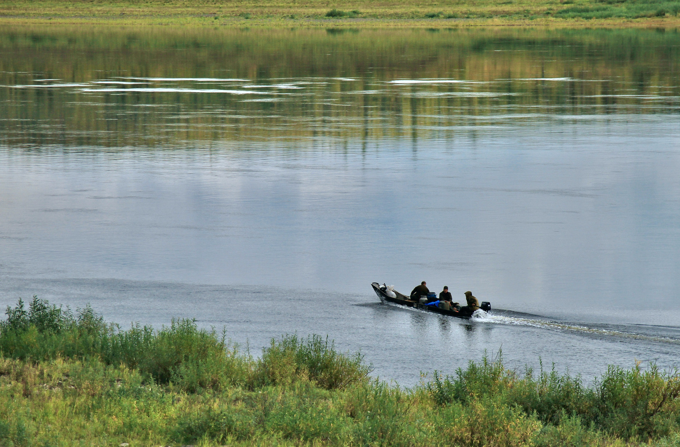Чалдоны-рыбари...