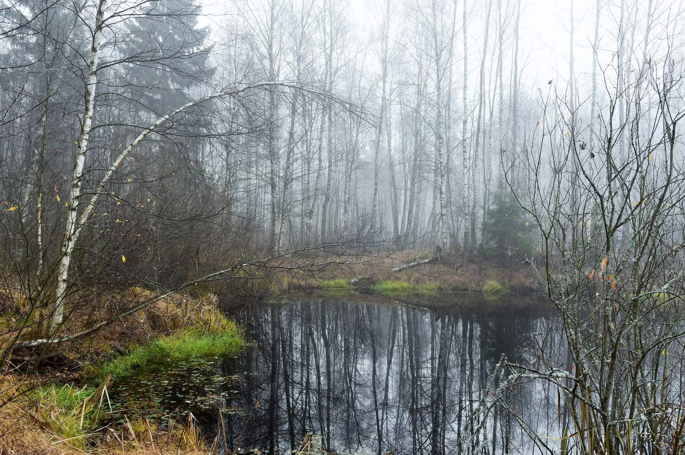 "Сонливое утро осеннее ..."