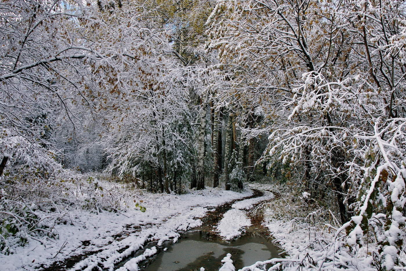 Октябрьский снег.