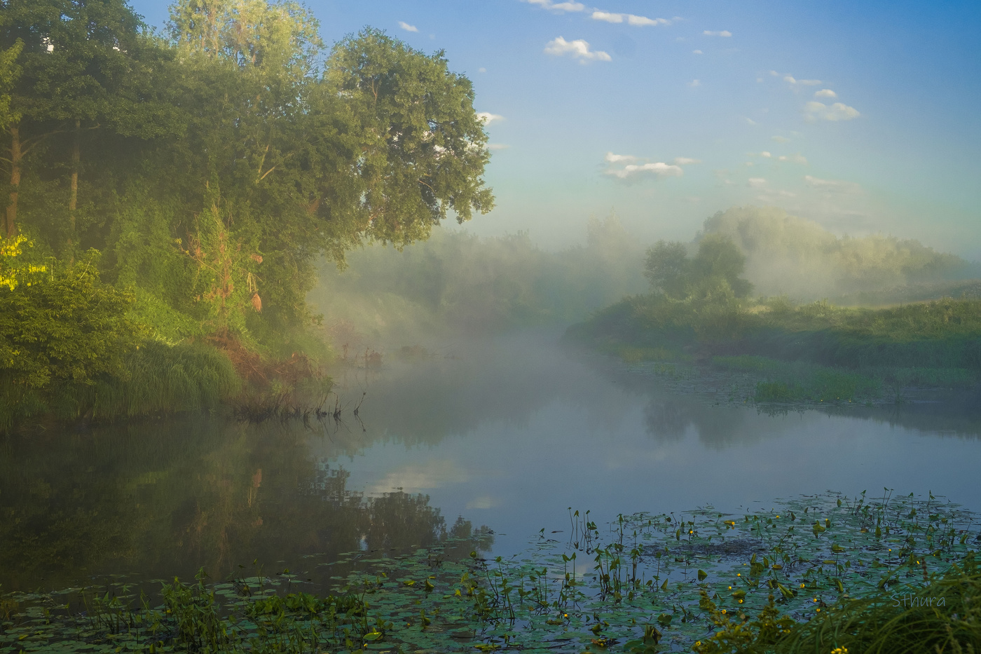 Летнее утро.