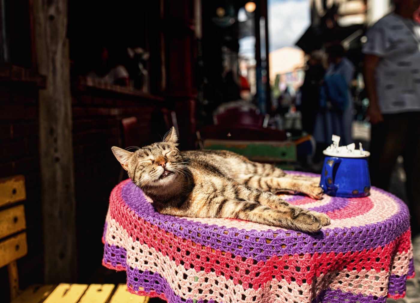 - Ты мне только солнце не загораживай..)