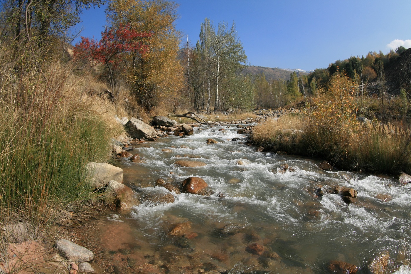 В начале октября