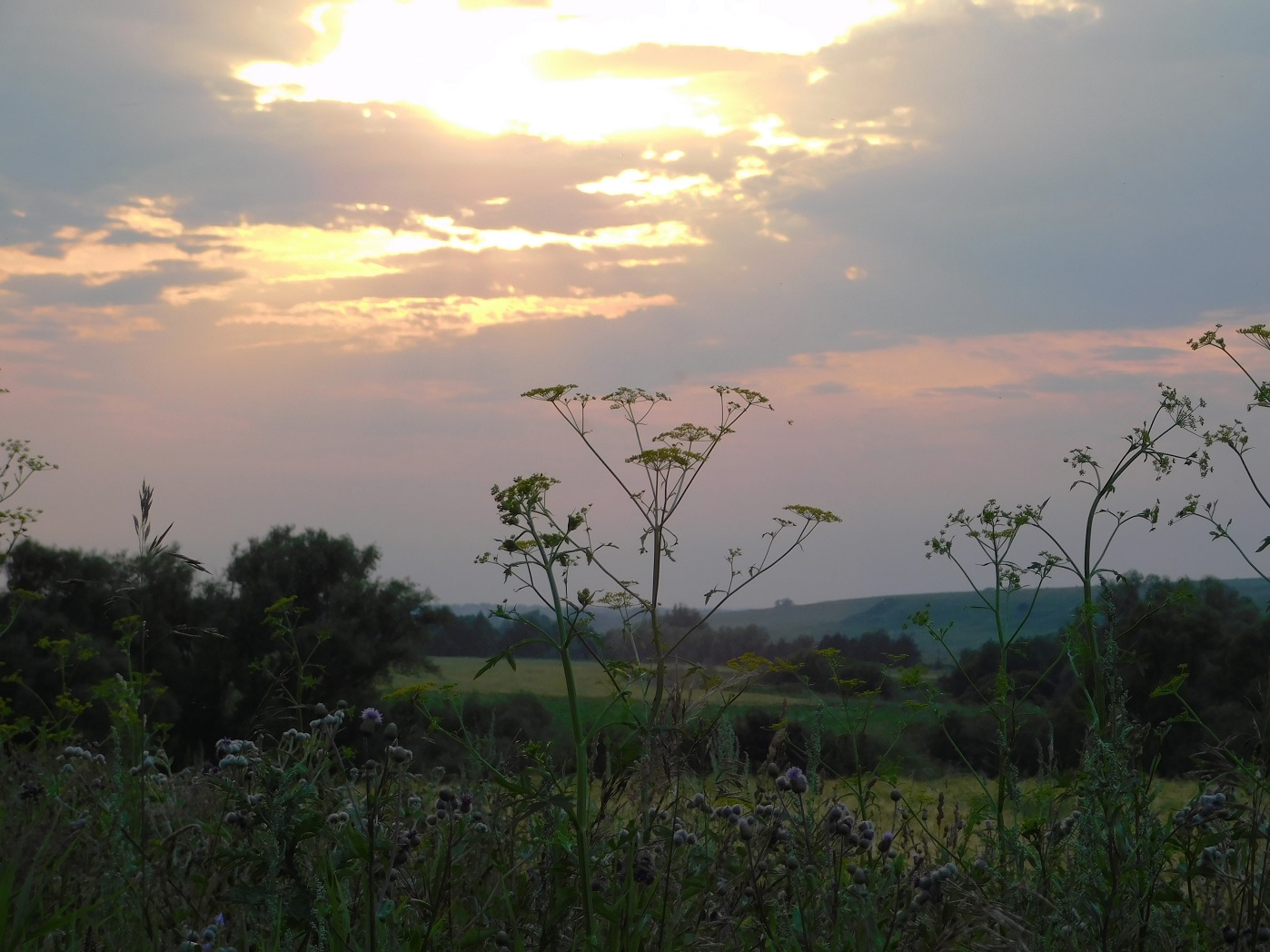 Вечерний свет