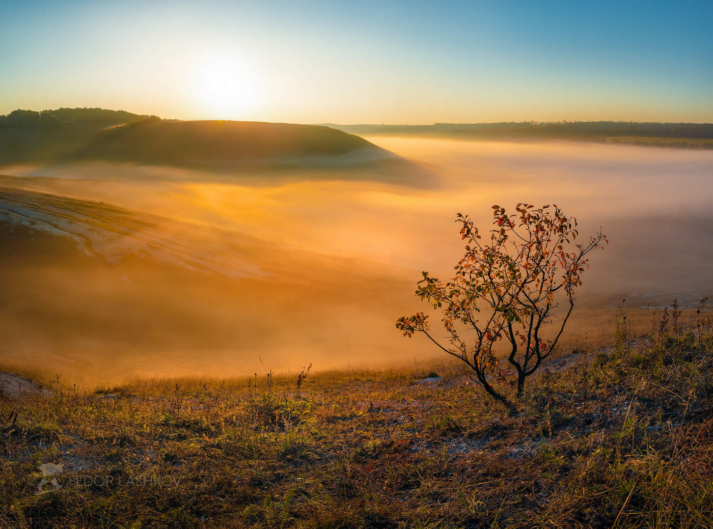 Туманный рассвет