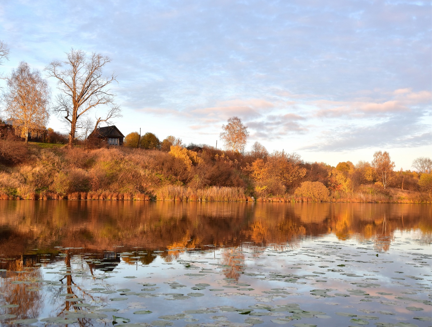 ...Короткая, но дивная пора.....
