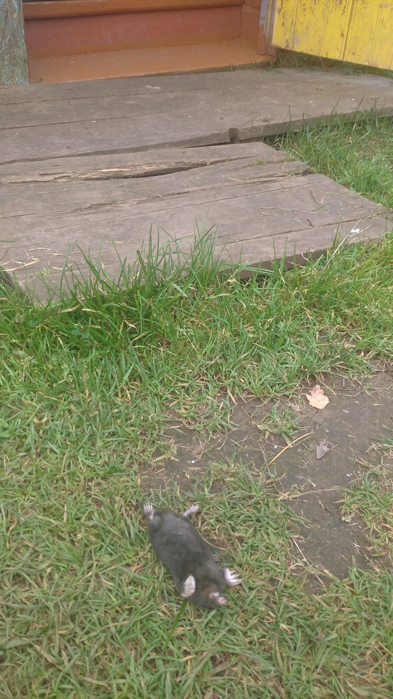 Жизнь вокруг