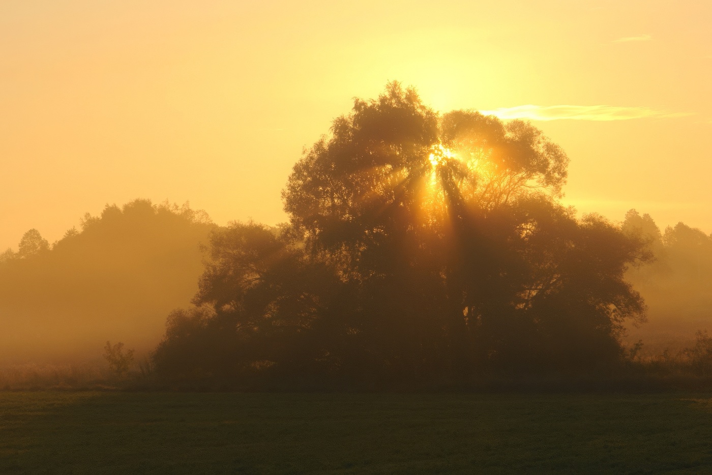 Лучистое утро