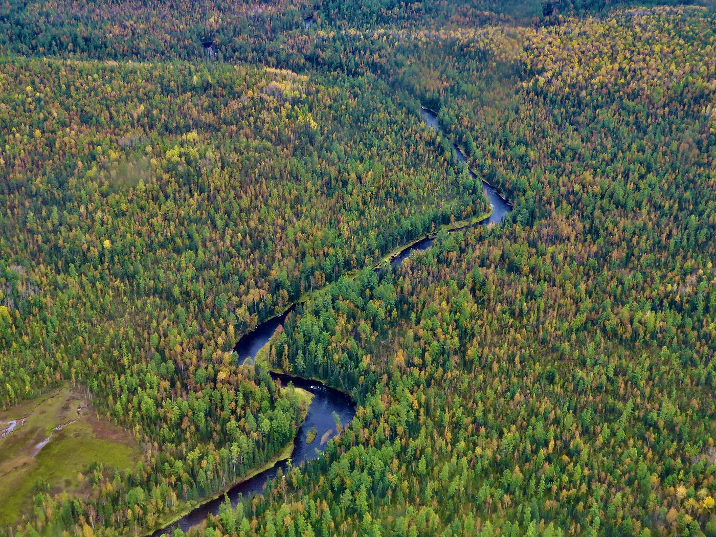 ТАЁЖНЫЕ РЕКИ