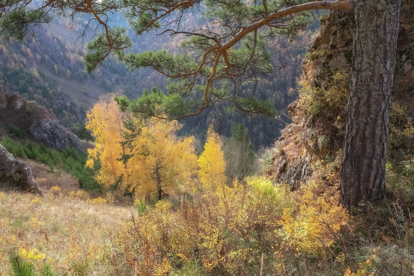 Осенний склон