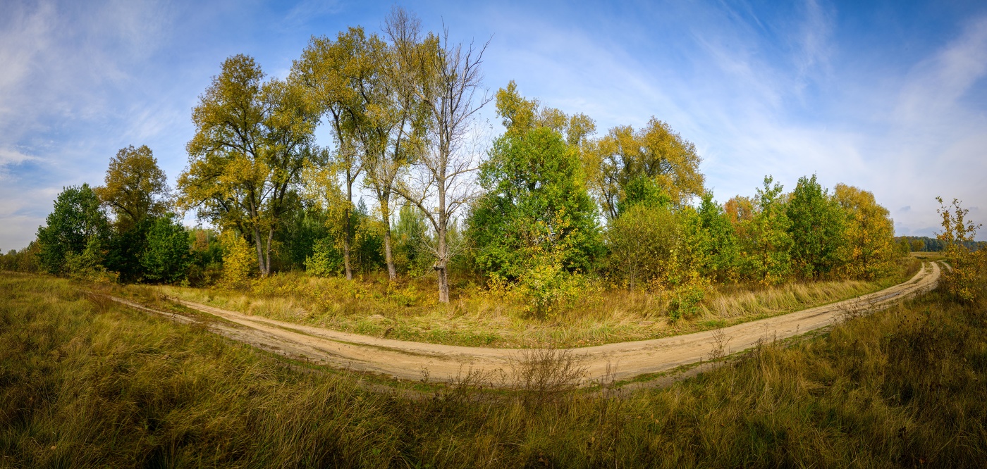 Дорога в поле.