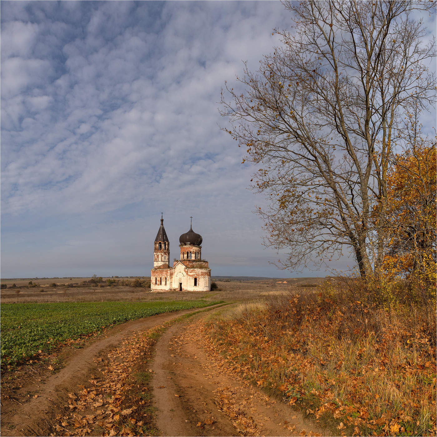 Рядом только кладбище