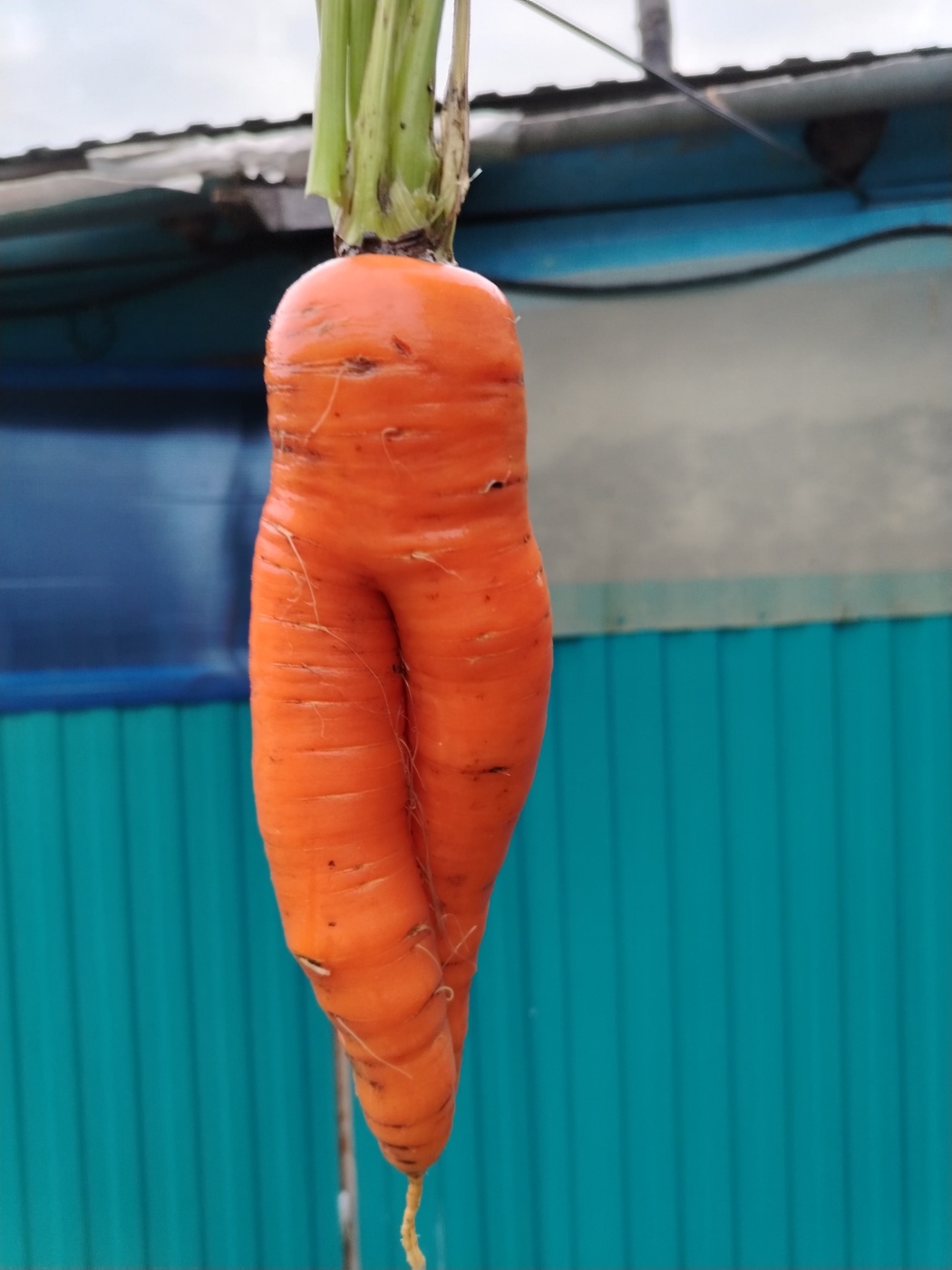 Скромница ))