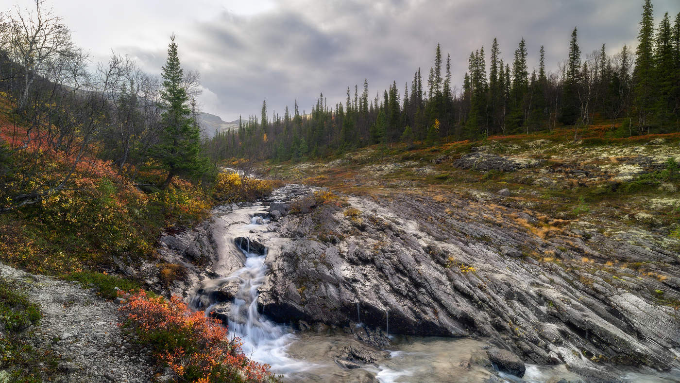 Цвет октября