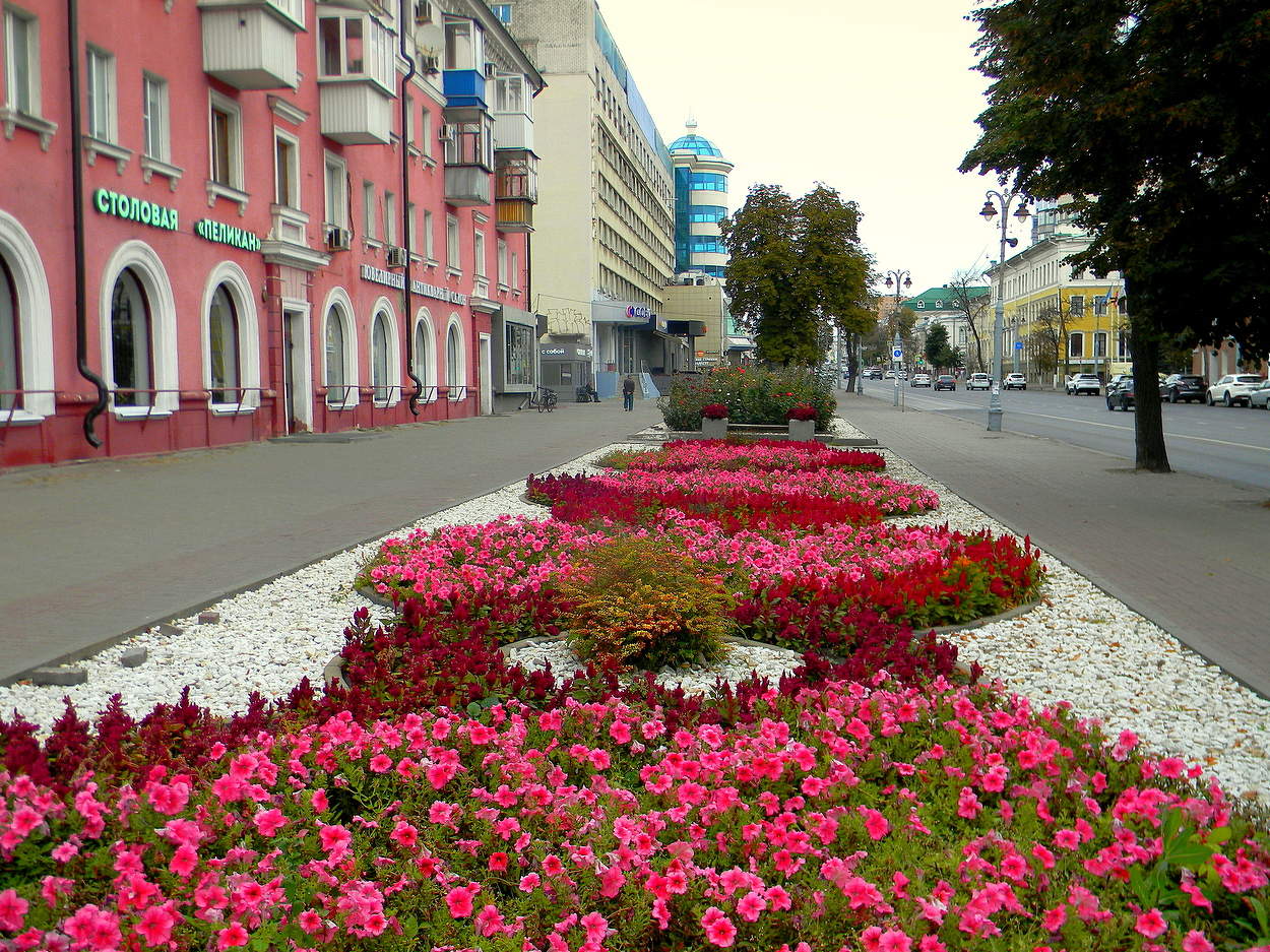 Сентябрьские цветы в городе