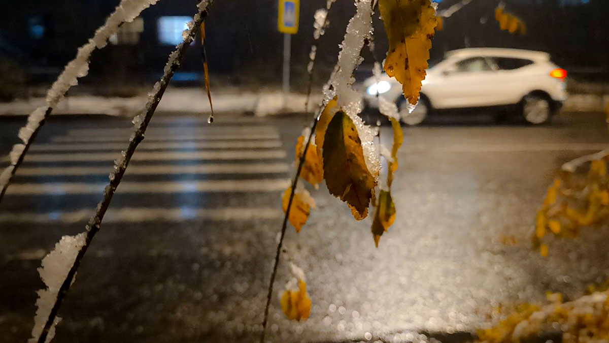 Первый снег