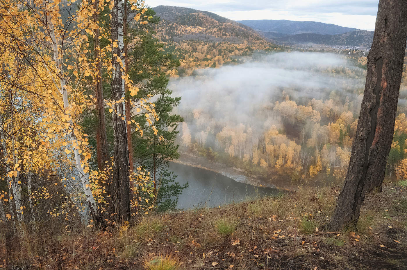 Легкий утренний туман