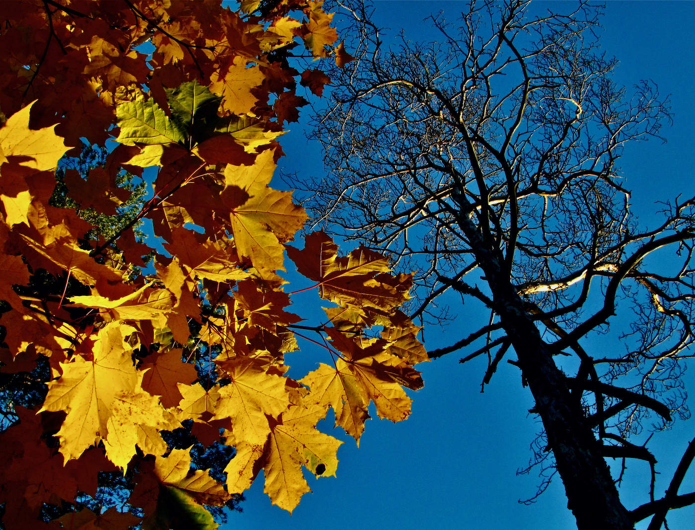 Всему своё время
