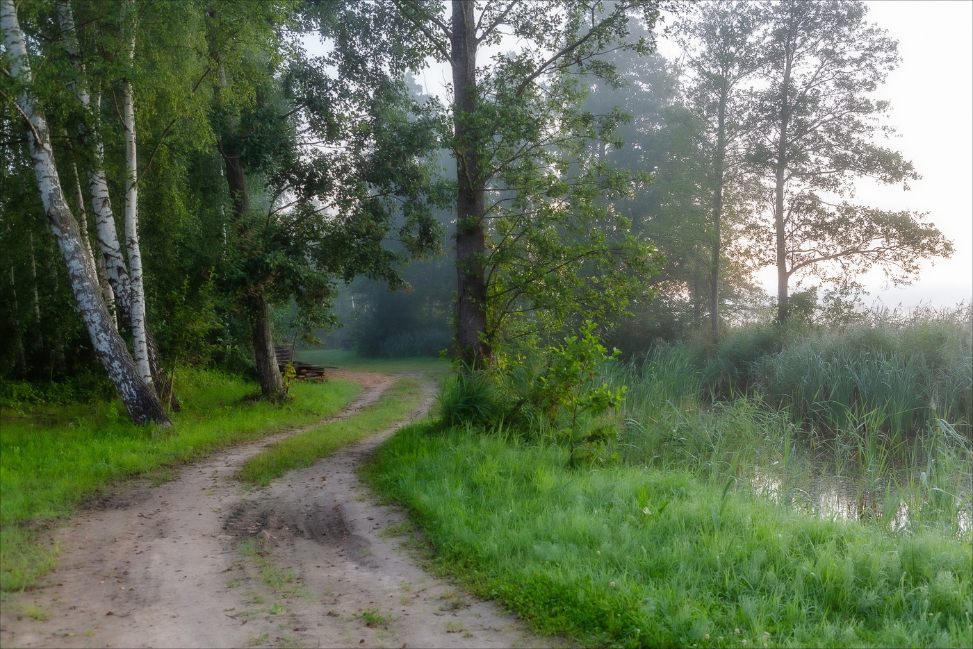 Утренняя прохлада