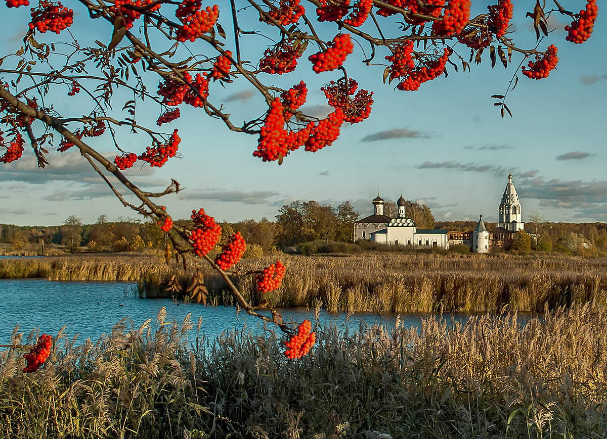 Осенняя рябина.