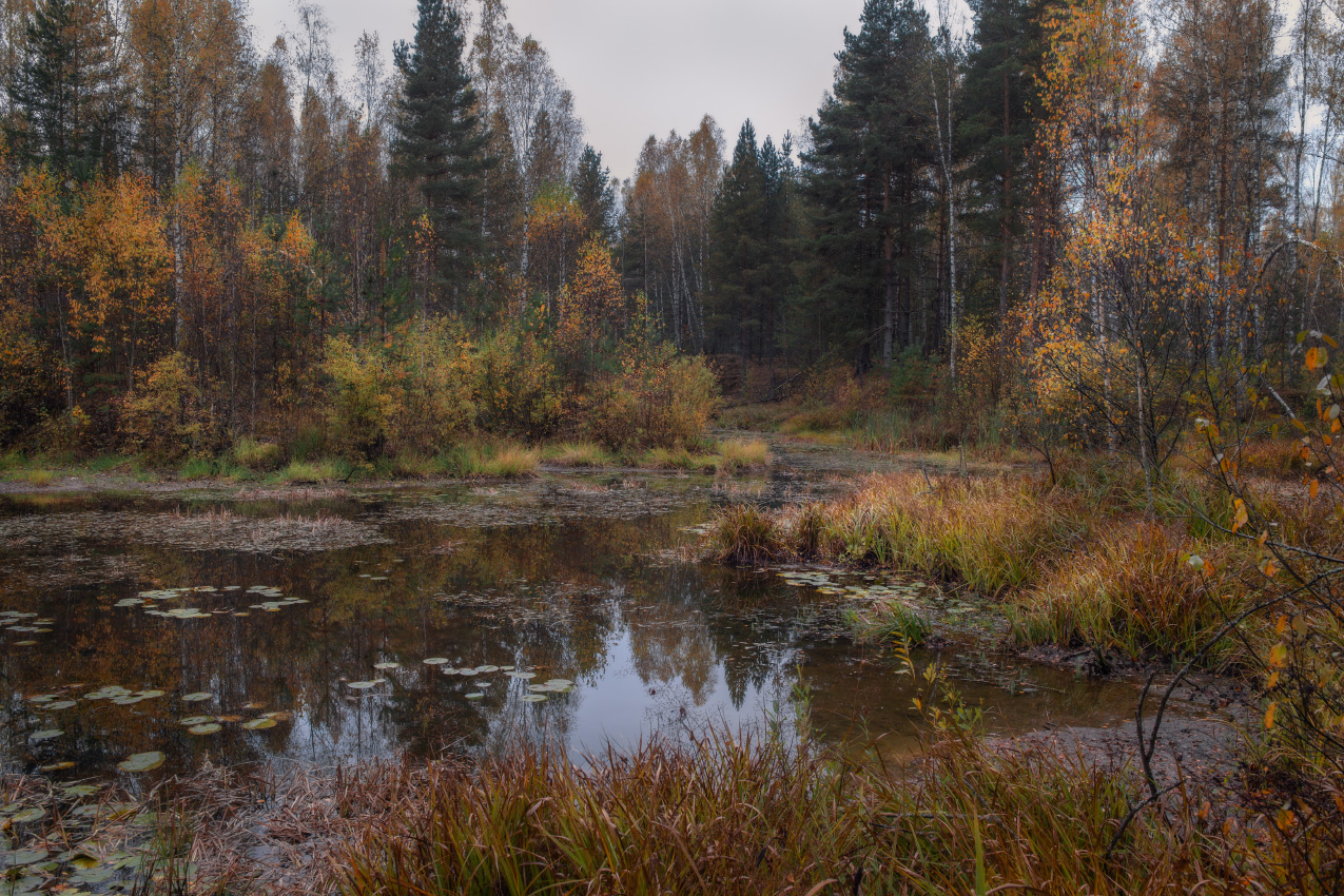Пасмурный день.