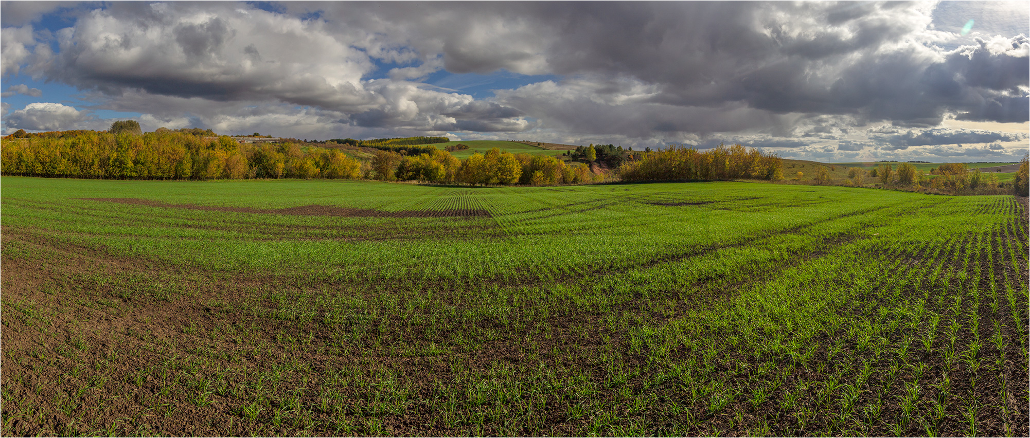 Осенние поля