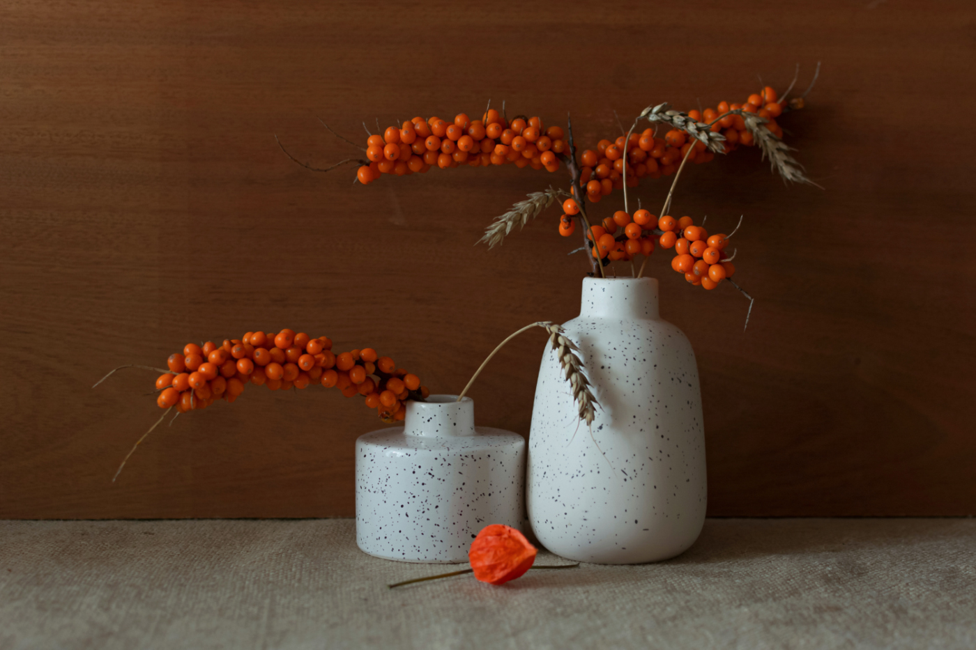 Облепиха...Рыжих ягод красота...