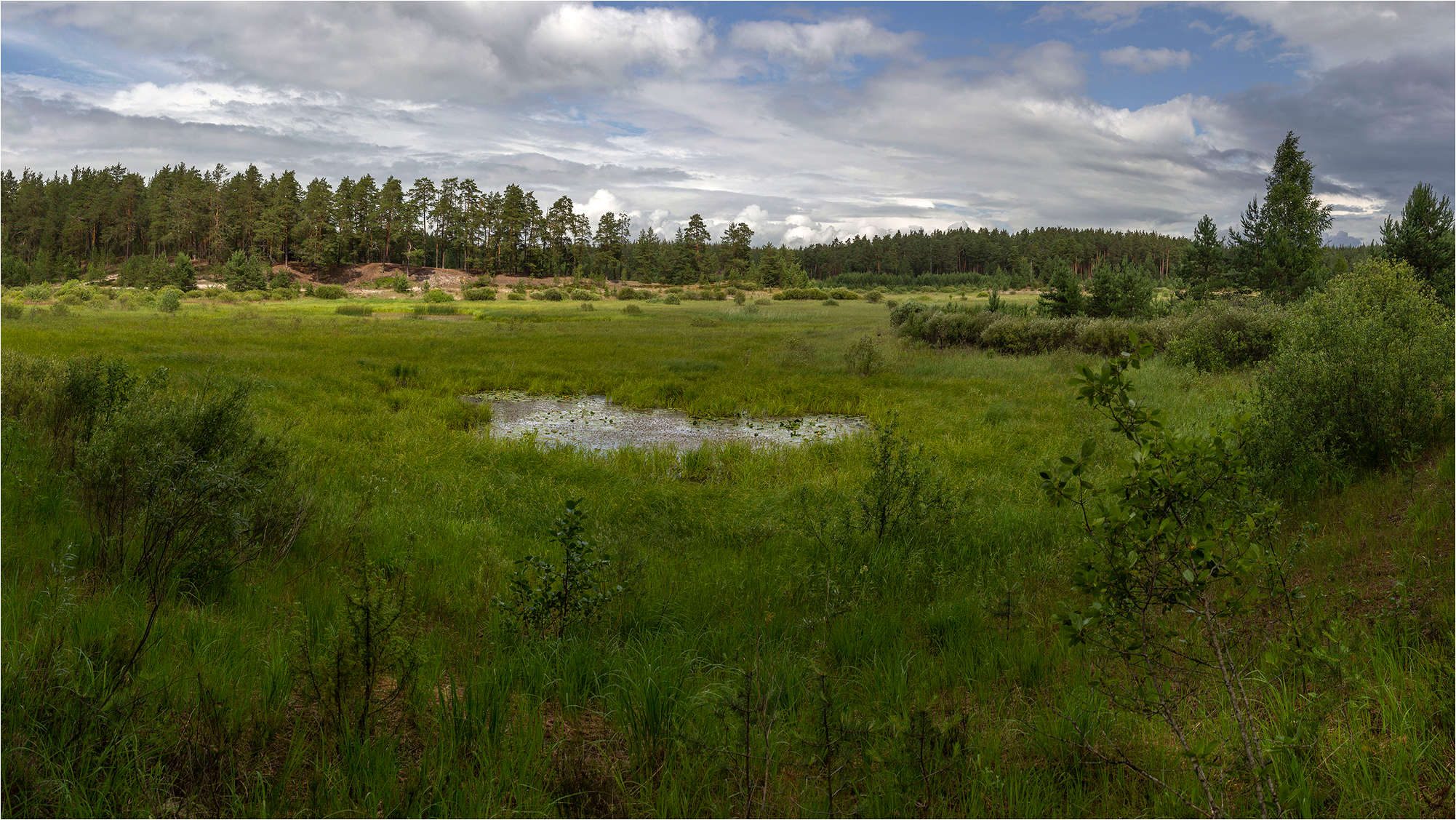 Заливной луг