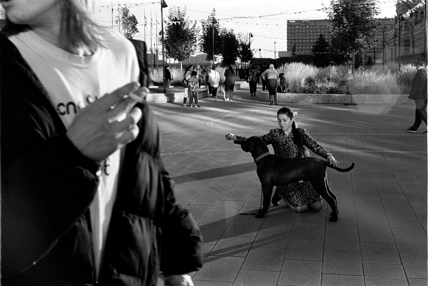 Солнечный вечер