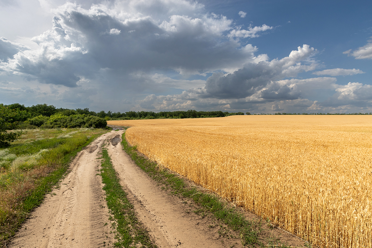 Жаркий июль