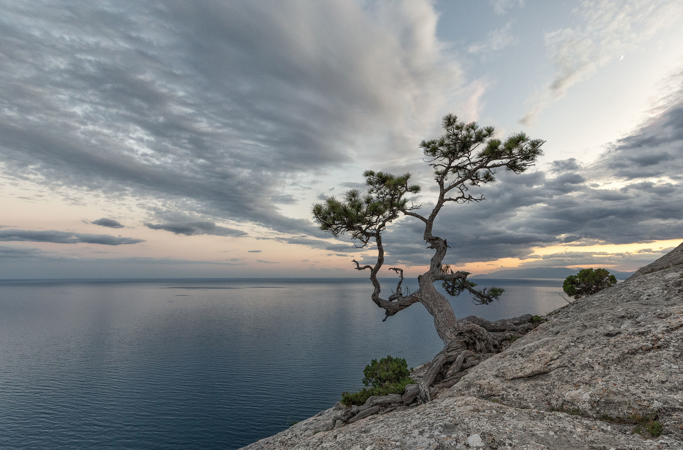 Сила жизни...