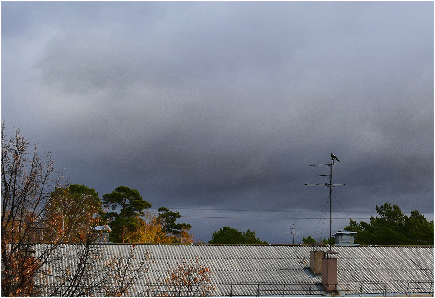 Над крышами